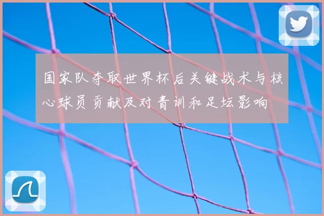 国家队夺取世界杯后关键战术与核心球员贡献及对青训和足坛影响