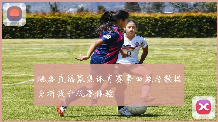 桃鹿直播聚焦体育赛事回放与数据分析提升观赛体验