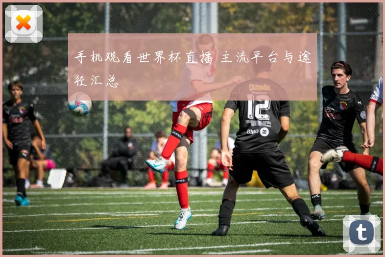 手机观看世界杯直播 主流平台与途径汇总