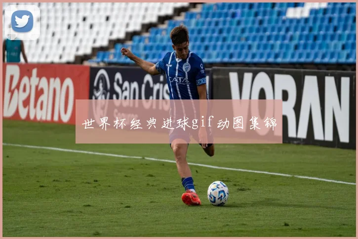 世界杯经典进球gif动图集锦