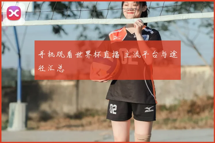 手机观看世界杯直播 主流平台与途径汇总