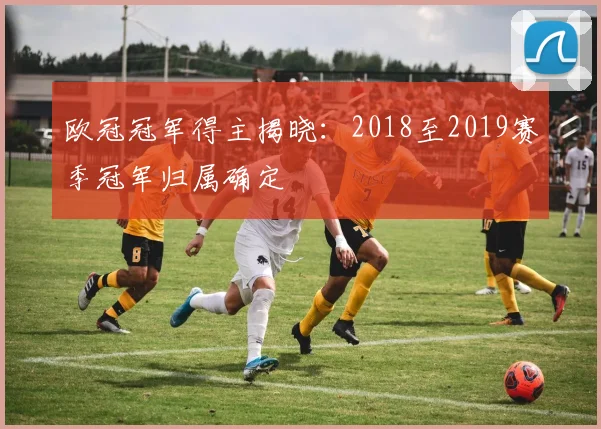 欧冠冠军得主揭晓：2018至2019赛季冠军归属确定