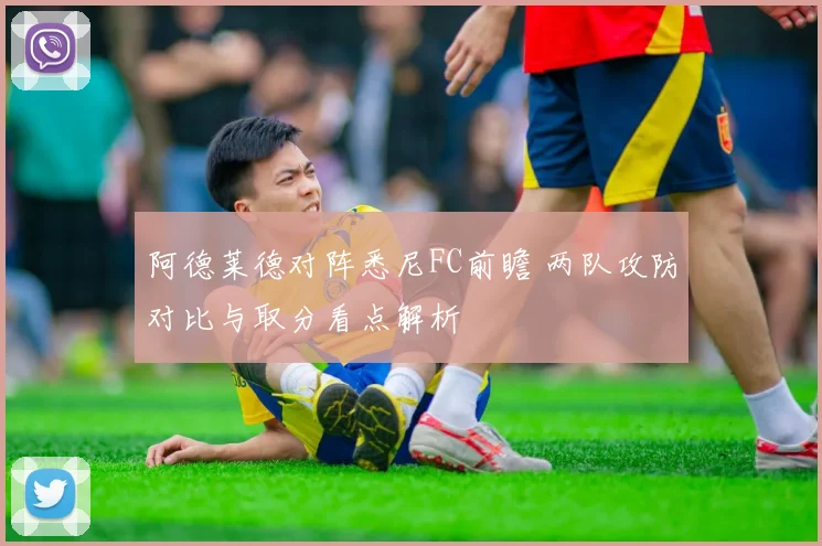 阿德莱德对阵悉尼FC前瞻 两队攻防对比与取分看点解析