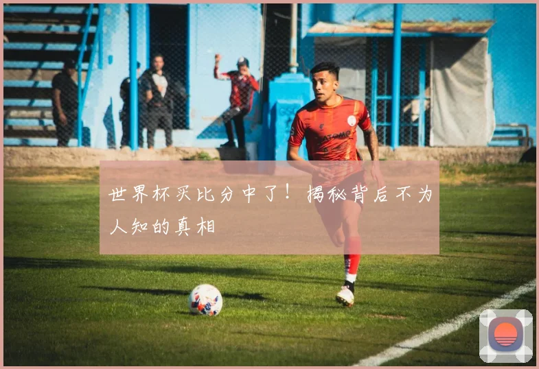 世界杯买比分中了！揭秘背后不为人知的真相