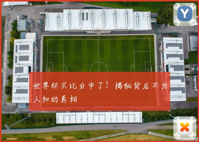 世界杯买比分中了!揭秘背后不为人知的真相