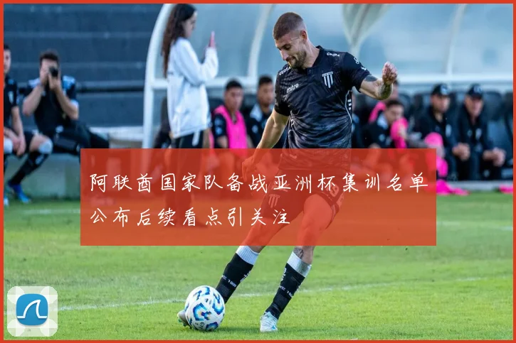 阿联酋国家队备战亚洲杯集训名单公布后续看点引关注