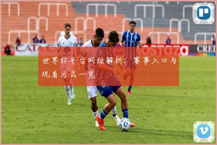 世界杯平台网址解析：赛事入口与观看方式一览